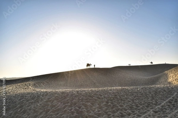 Fototapeta Beautiful view of the camel at Jaisalmer desert.