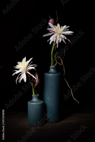 Obraz flower in a vase