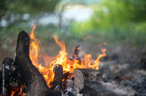 Obraz bonfire in the summer forest, photo of camping