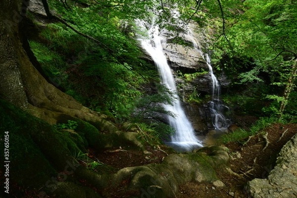 Fototapeta waterfall in the forest