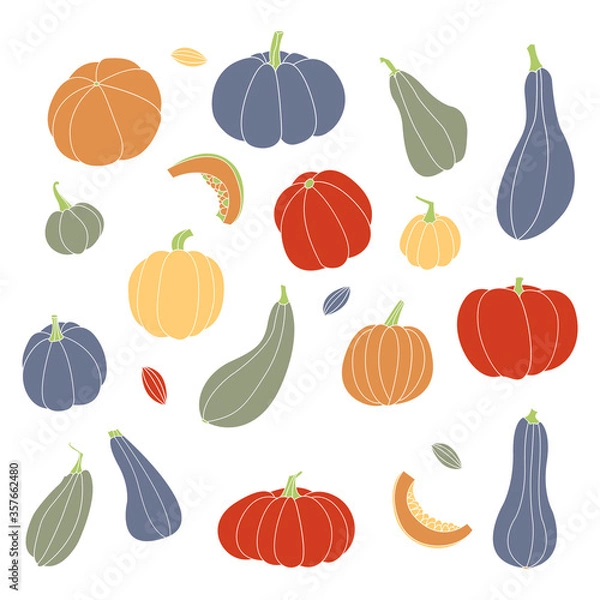 Fototapeta Pumpkin, squash, zucchini, marrow. Various shapes and colors. Perfect for autumn decorative design, thanksgiving and halloween invitation, harvest. Vector flat illustration