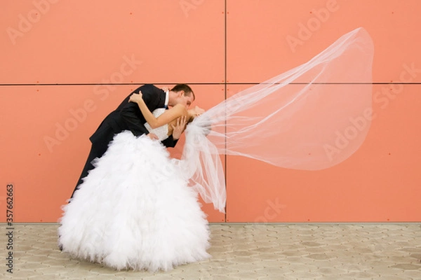 Obraz dance of newly wedded