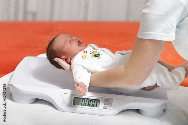 Obraz baby boy on weight scale