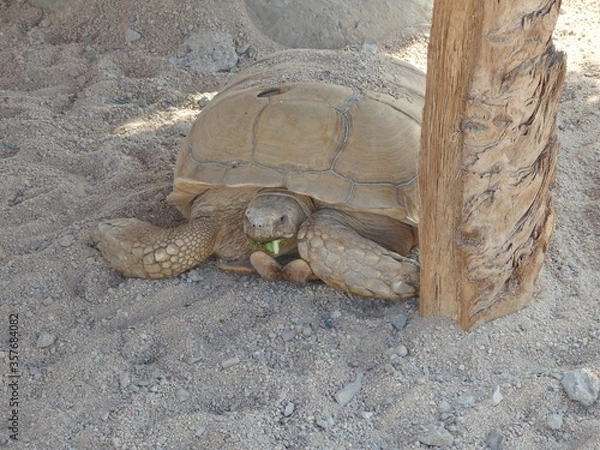 Obraz OLYMPUS DIGITAL CAMERA