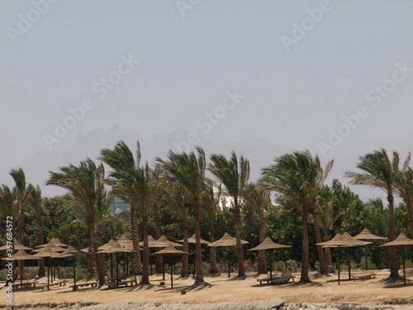 Obraz OLYMPUS DIGITAL CAMERA