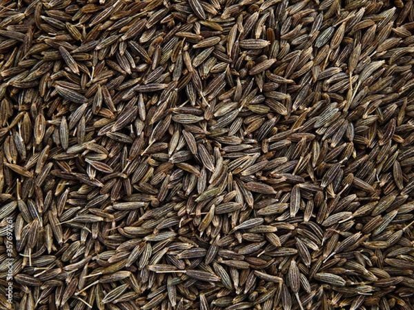 Obraz Close-up view of cumin seed texture