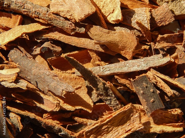 Fototapeta Close-up view of cinnamon bark