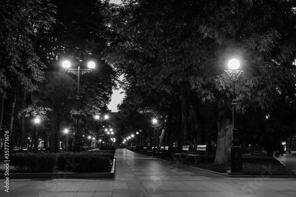 Fototapeta An empty illuminated park at the night.