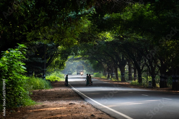 Obraz Beautiful view of Palakkad to Pollachi road, a morning view.