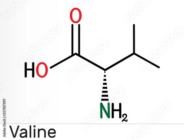 Fototapeta Valine, Val, L-valine molecule, is α-amino acid . It is used in the biosynthesis of proteins.  Structural chemical formula