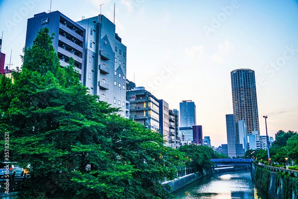 Obraz 目黒川の新緑と街並み