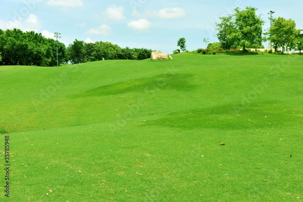 Fototapeta golf course