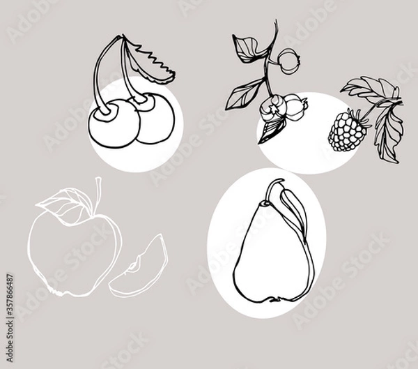 Fototapeta Fruits drawing vector on pastel background food cherry illustration line apple leaf sketch symbol design menu diet fruit healthy delicious leaf single natural sweet