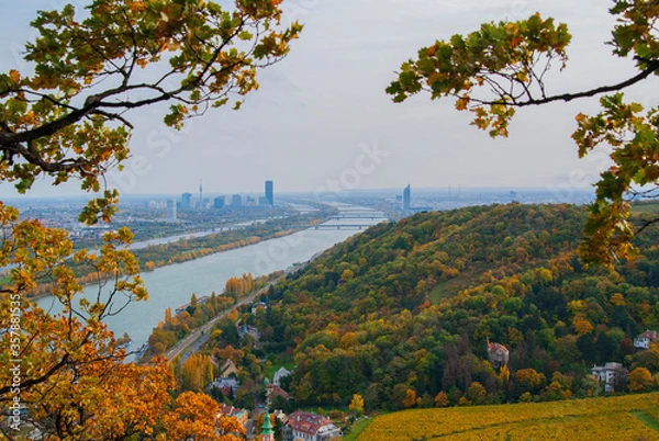 Fototapeta View of the Danube River and the city of Vienna, Austria on an autumn day. Bright yellow and green leaves on trees in the park, skyscrapers and bridges on the horizon.
