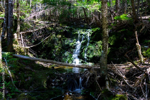 Obraz Little Water Fall