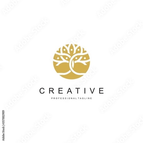 Fototapeta Tree vector icon. Nature trees vector illustration logo design.