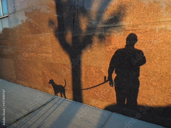Obraz Shadow man walking his shadow dog