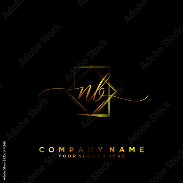 Obraz NB Initial handwriting logo vector