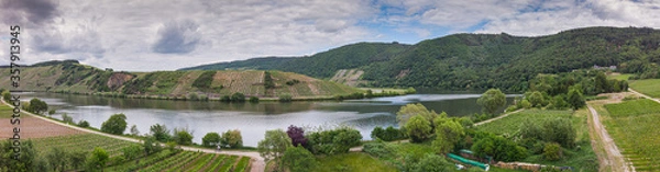 Obraz With the bike on the cycle path through the countryside along the river Moselle in Rhineland-Palatinate from Trier to Koblenz in summer