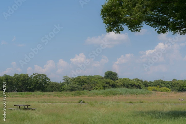 Obraz 晴天の公園