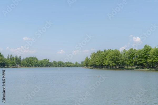 Obraz 晴天の公園