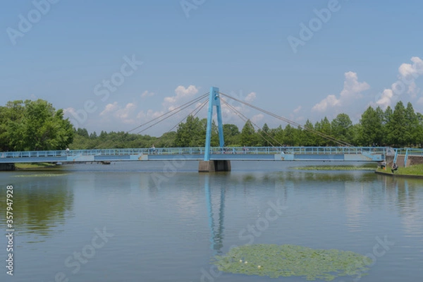 Obraz 水元大橋