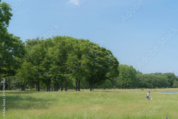 Obraz 晴天の公園