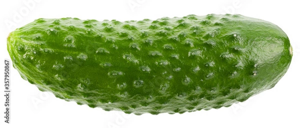 Obraz Cucumber isolated on white