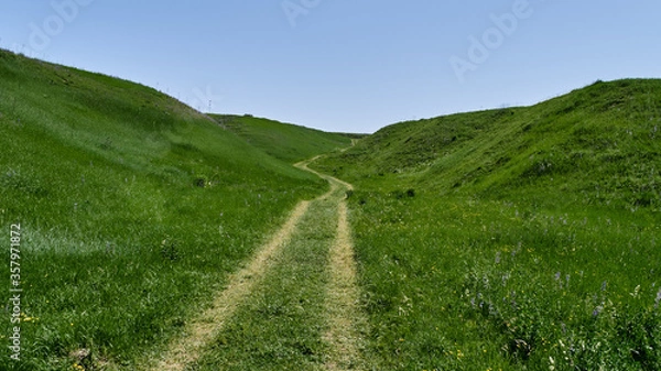 Fototapeta A morning walk on the hills
