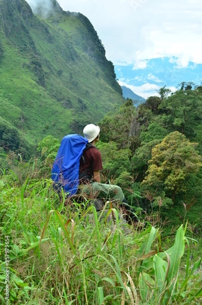 Obraz Waiting on the hill
