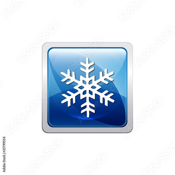 Obraz Botón nieve