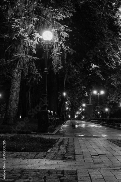 Fototapeta An empty illuminated park at the night.