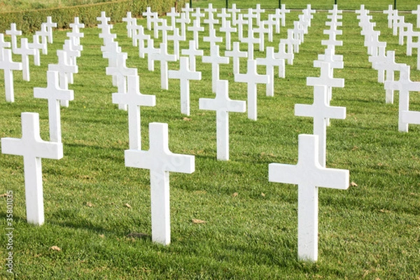 Fototapeta Cimetière militaire