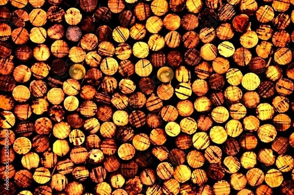 Obraz rondelles de bois