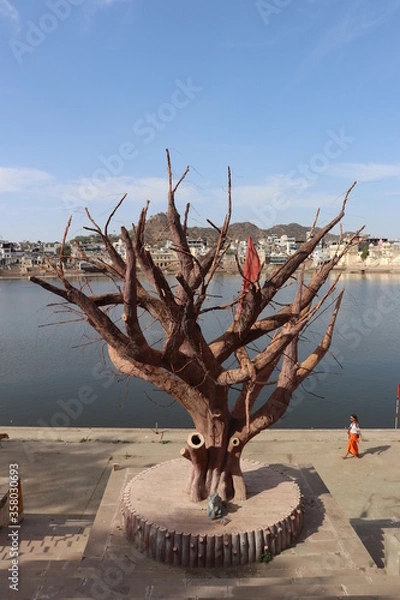 Obraz lonely tree on the beach