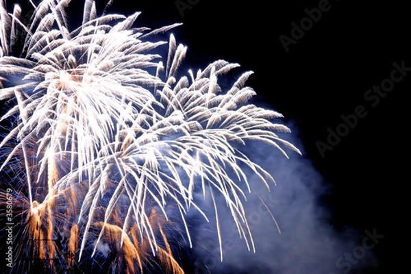 Obraz Feu d'atifice bleu et blanc