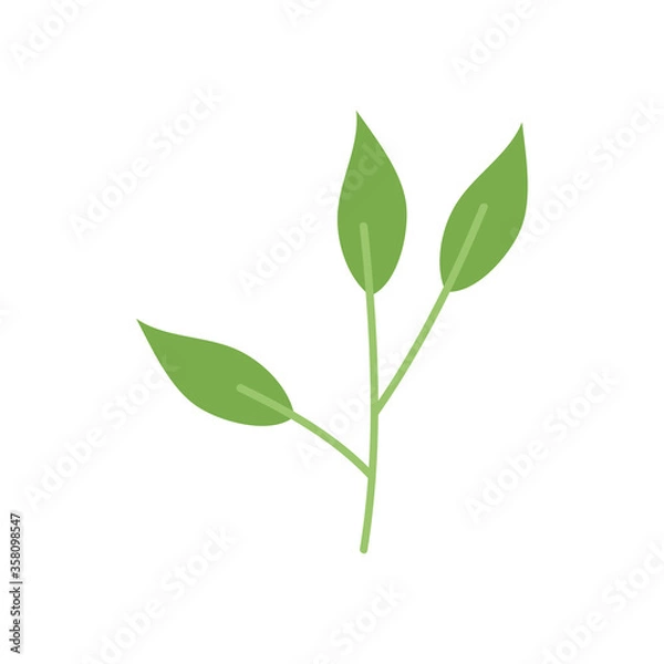 Obraz tree leaves icon, flat style