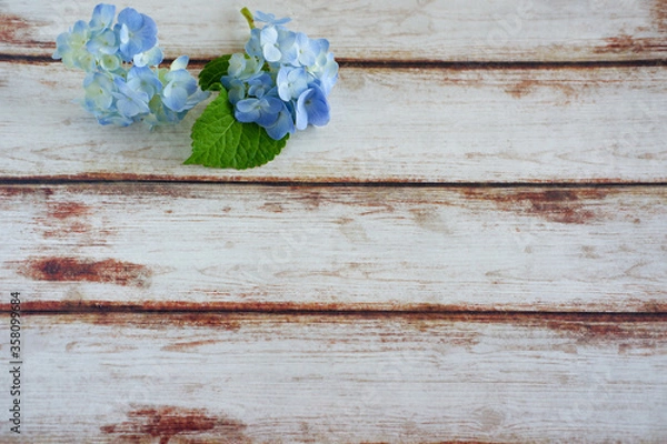 Fototapeta あじさいフレーム