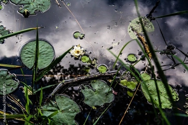 Obraz graffiti on the wall