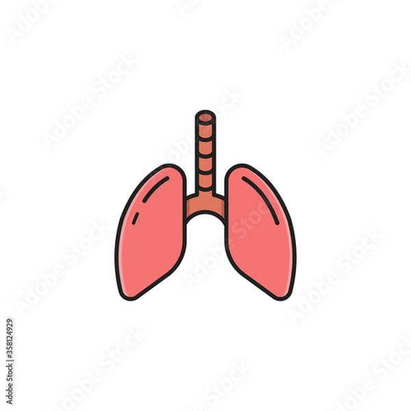 Fototapeta Human lungs vector icon symbol isolated on white background