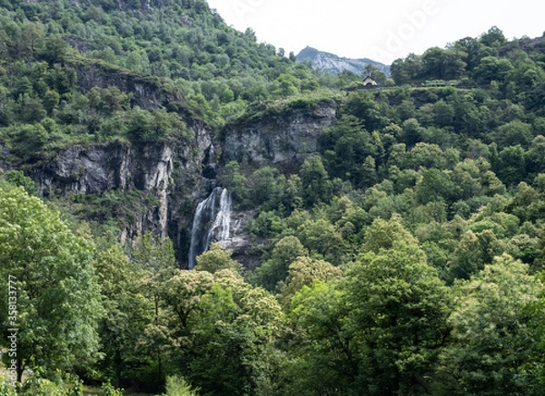 Fototapeta Natur in der Schweiz