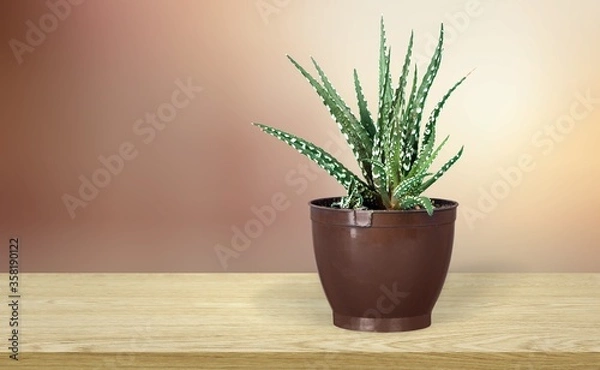 Fototapeta Artificial.