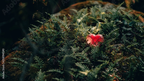 Fototapeta Red glas heart hiding in the ferns