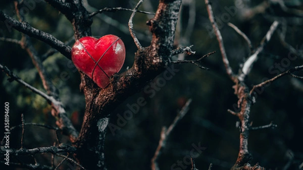 Fototapeta Red heart sitting in a tree