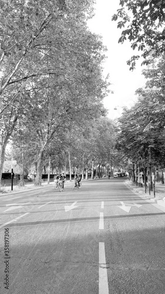Fototapeta cycling in a empty road with trees, black and white