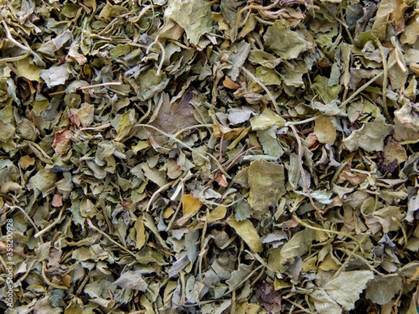 Fototapeta Close-up view of dried parsley flakes