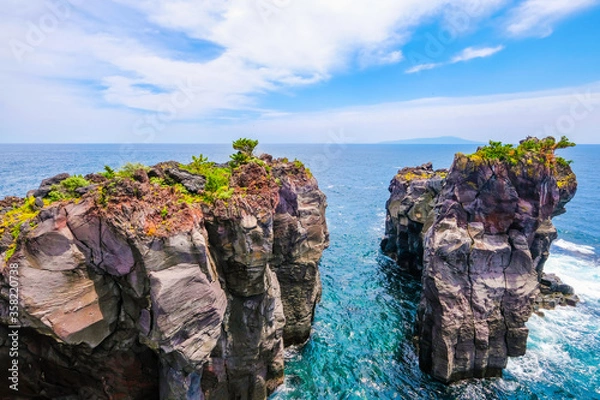 Obraz 静岡県伊東市の城ヶ崎海岸