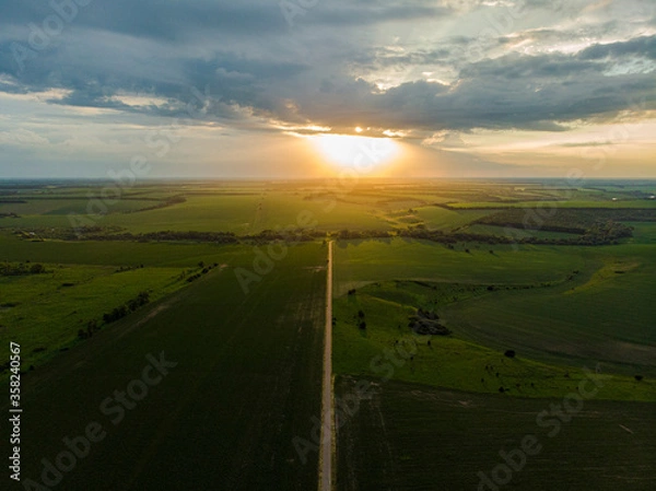 Obraz sunset over the fields