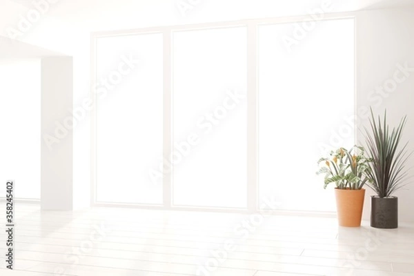 Fototapeta modern empty room with plants interior design. 3D illustration