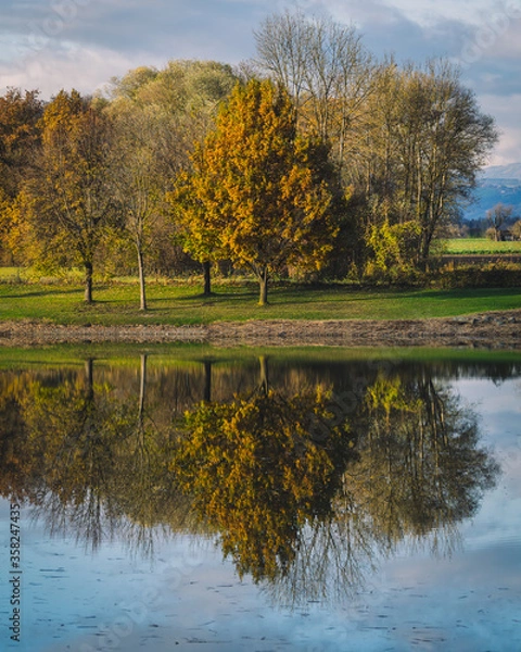 Obraz Ein Baum spiegelt sich im Wasser
